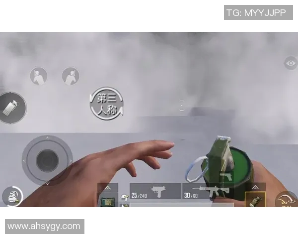 和平精英新手必看攻略提升游戏意识与技巧的全面指南 和平精英新手必看攻略提升游戏意识与技巧的全面指南