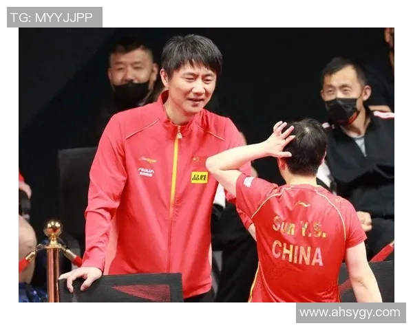 南京排球队节奏之争引发热议球迷与教练的观点碰撞