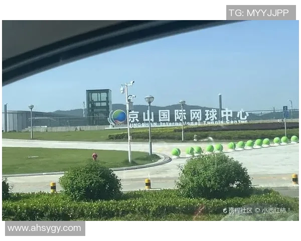 南京网球队的蜕变之旅：从地方小队到世界杯舞台的奋斗历程