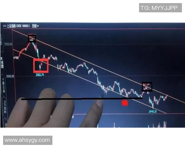 权威发布羽毛球节奏实力榜单全面解析选手表现与竞技趋势 权威发布羽毛球节奏实力榜单全面解析选手表现与竞技趋势