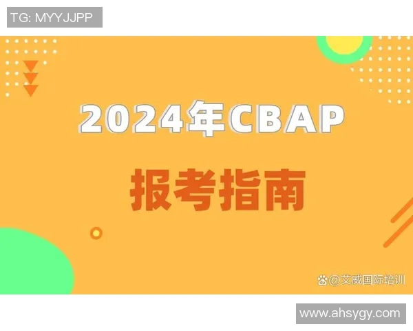 杨伟独家分享网球心得与技巧助你提升球技的全面指南